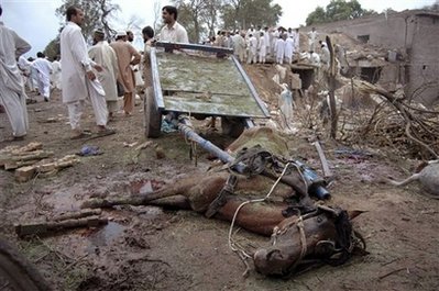 A dead horse lies on the ground after being killed by a suicide bombing on the outskirts of Peshawar, Pakistan on Saturday, Sept. 6, 2008.   A pickup truck packed with a large amount of explosives blew up a security checkpoint in Pakistan's volatile northwest Saturday, killing at least 13 people and injuring nearly 60 in an attack that may have been intended for a more important target, police said